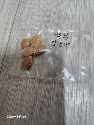 성낙신 님의 작성글 사진