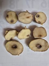 팜모닝 농사, 무엇이든 물어보세요!·참여글 게시글 이미지