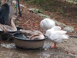 시금치15102님의 작성글 사진