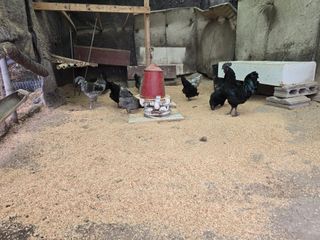 한상훈님의 자유주제 · 자유게시판 작성글 사진