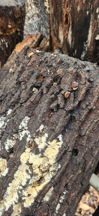 최군환님의 자유주제 · 자유게시판 작성글 사진