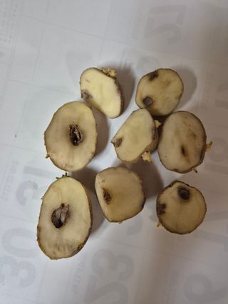 담디농원님의 농사, 무엇이든 물어보세요! · 참여글 작성글 사진