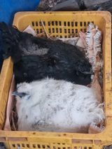 팜모닝 자유주제·사진전 게시글 이미지