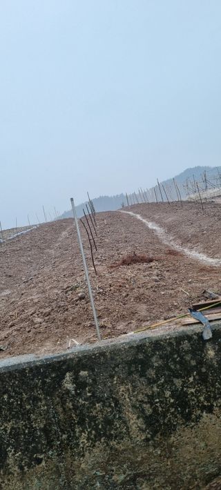 박순덕님의 자유주제 · 자유게시판 작성글 사진