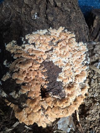 김성환님의 자유주제 · 자유게시판 작성글 사진