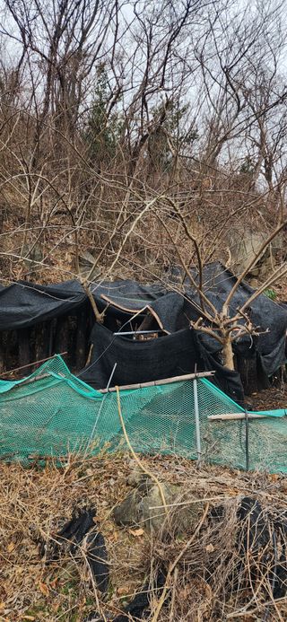 최군환님의 자유주제 · 자유게시판 작성글 사진