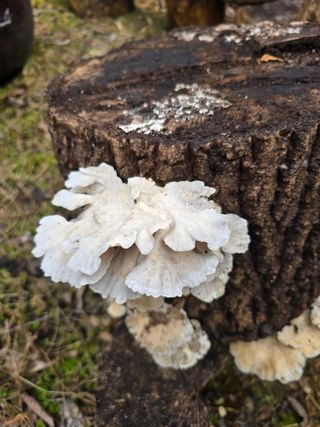 김성환님의 자유주제 · 자유게시판 작성글 사진