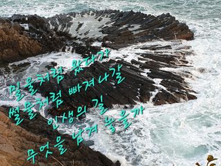 김상진님의 자유주제 · 자유게시판 작성글 사진