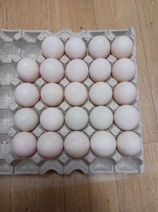 상민님의 작성글 사진