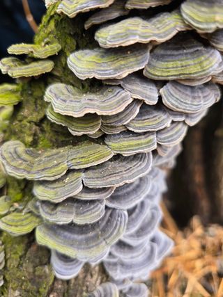 김성환님의 자유주제 · 자유게시판 작성글 사진