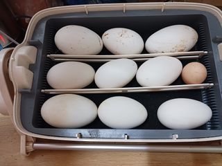 상민님의 작성글 사진