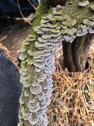 김성환님의 자유주제 · 자유게시판 작성글 사진