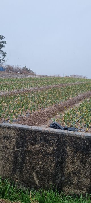 박순덕님의 자유주제 · 자유게시판 작성글 사진