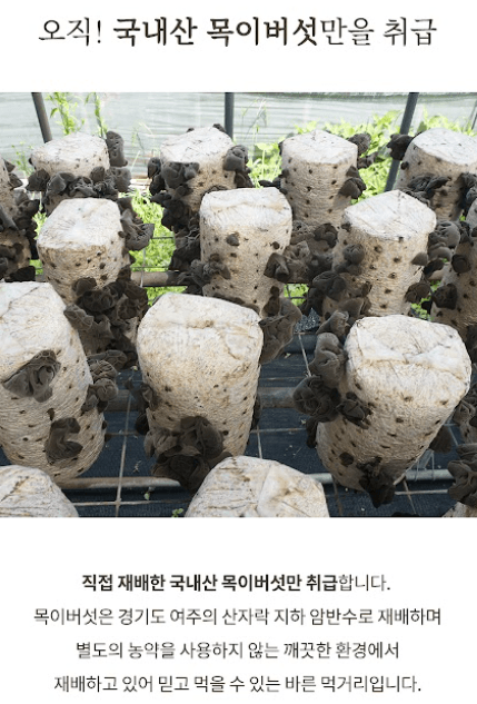 스피드번님의 장터 판매 상품 [목이버섯 (생물,건물)] 첨부 사진