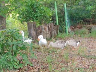 시금치15102님의 작성글 사진