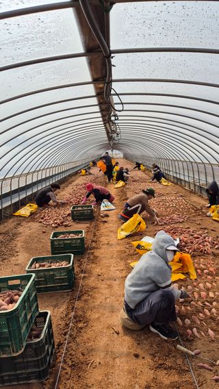 김동수님의 자유주제 · 자유게시판 작성글 사진