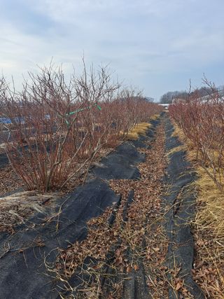 이재국님의 자유주제 · 자유게시판 작성글 사진