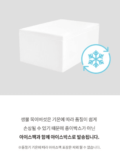 스피드번님의 장터 판매 상품 [목이버섯 (생물,건물)] 첨부 사진