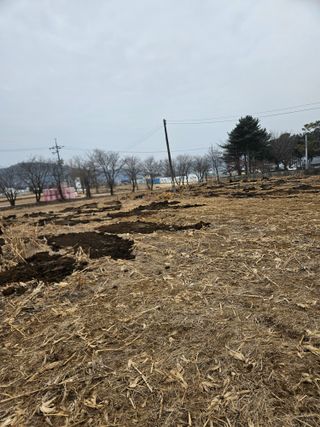 용균식님의 작성글 사진