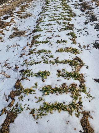 이박농장님의 자유주제 · 자유게시판 작성글 사진