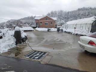 관음손가네님의 자유주제 · 자유게시판 작성글 사진