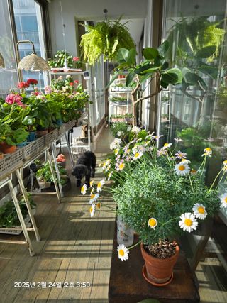 조용오님의 자유주제 · 자유게시판 작성글 사진