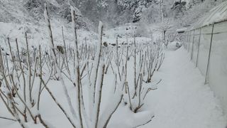 관음손가네님의 자유주제 · 자유게시판 작성글 사진