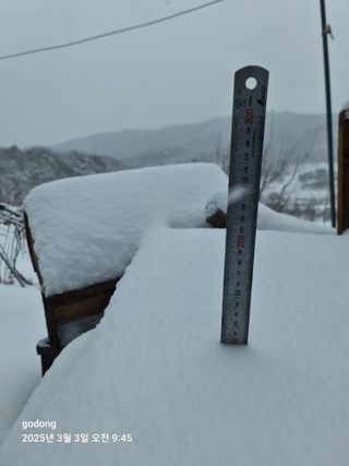 고동농장님의 자유주제 · 사진전 작성글 사진