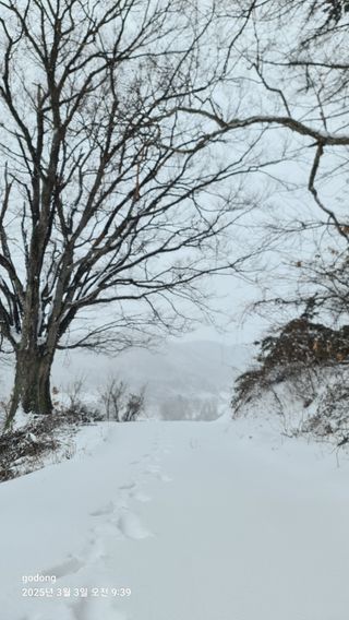 고동농장님의 자유주제 · 사진전 작성글 사진