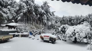 김준한님의 자유주제 · 자유게시판 작성글 사진