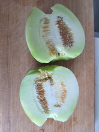 원빈님의 작성글 사진