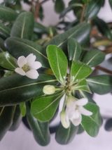 팜모닝 자유주제·자유게시판 게시글 이미지