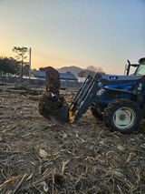 팜모닝 · 게시글 이미지