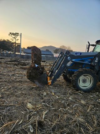 용균식님의 작성글 사진