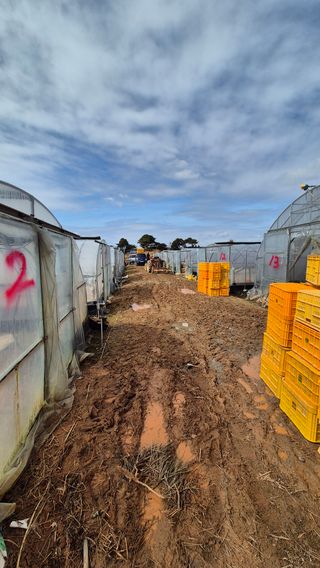 김동수님의 자유주제 · 자유게시판 작성글 사진