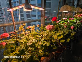 조용오님의 자유주제 · 자유게시판 작성글 사진