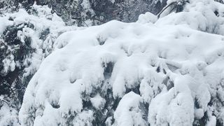 김준한님의 자유주제 · 자유게시판 작성글 사진