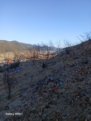 김명자님의 자유주제 · 자유게시판 작성글 사진