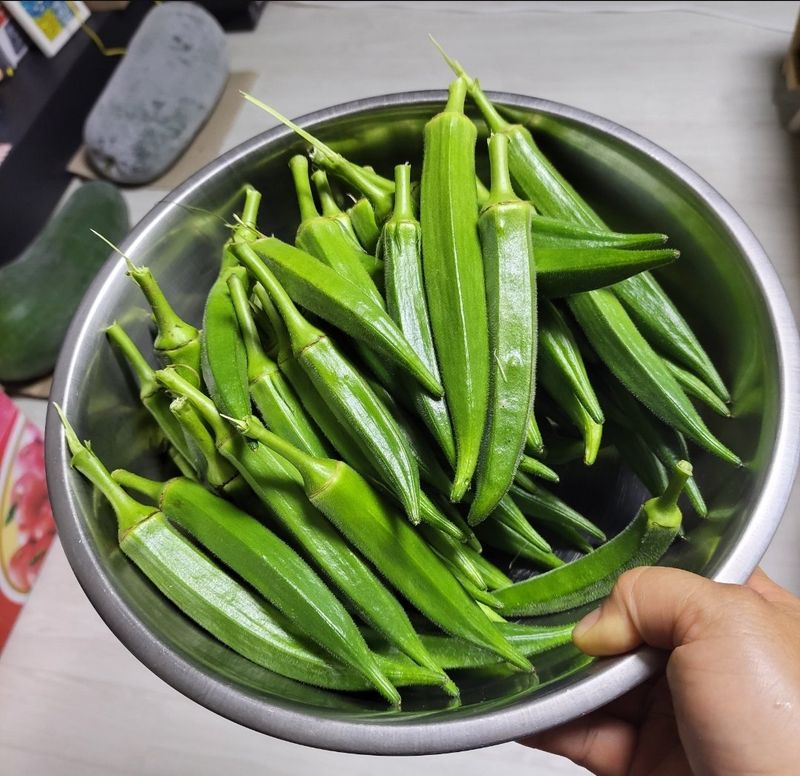 장터 상품 [오크라 씨앗 ] 썸네일