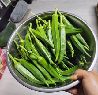 원빈님의 작성글 사진