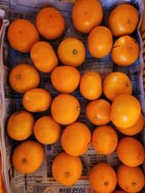 팜모닝 · 게시글 이미지