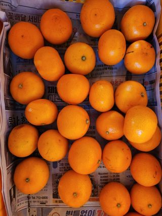 귤껍데기님의 작성글 사진