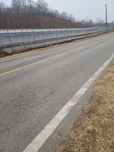 팜모닝 자유주제·자유게시판 게시글 이미지