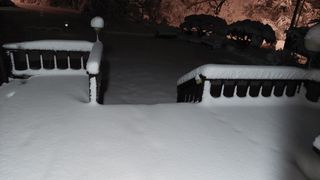 관음손가네님의 자유주제 · 자유게시판 작성글 사진