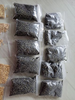 원빈님의 작성글 사진