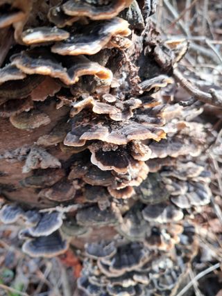 최한기님의 자유주제 · 자유게시판 작성글 사진