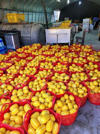 프룻하늬님의 작성글 사진