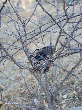 김명자님의 자유주제 · 자유게시판 작성글 사진