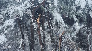 김준한님의 자유주제 · 자유게시판 작성글 사진