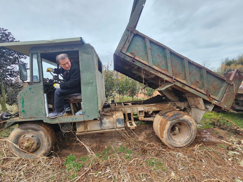 최도윤(중고농기계)님의 장터 판매 상품 [산판차량 (딸딸이)판매합니다  ] 첨부 사진